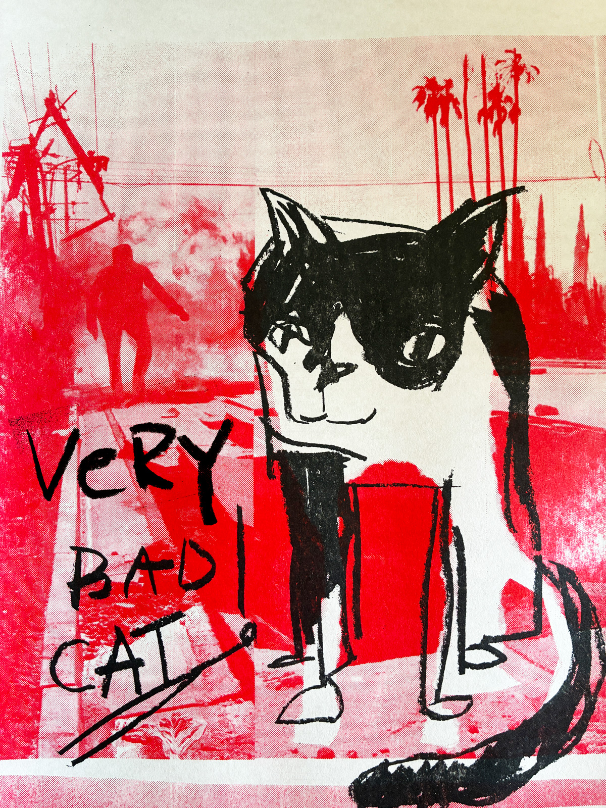 Very Bad Cat!